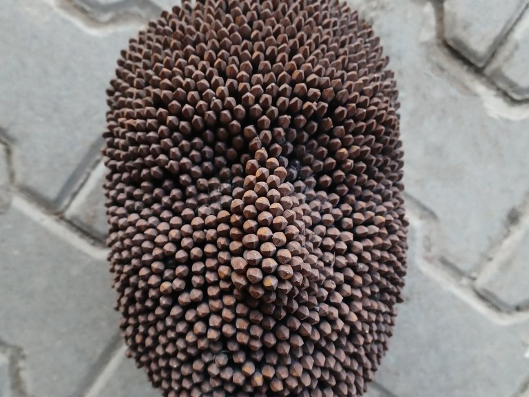 Portrét